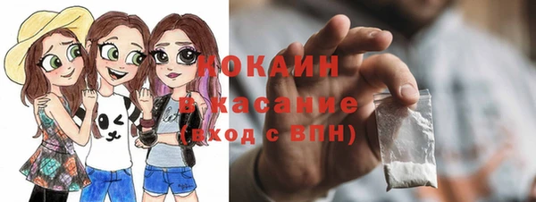 тгк Нея