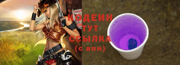 тгк Нея