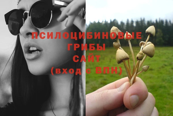 дживик Гусь-Хрустальный