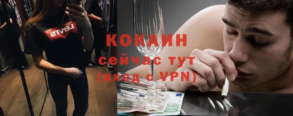 трава Гусиноозёрск