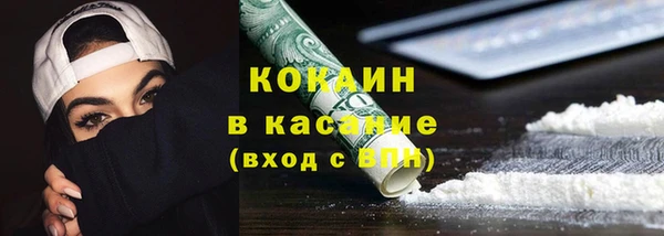 трава Гусиноозёрск