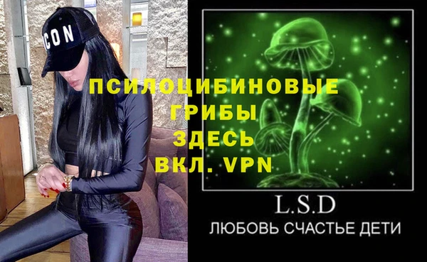 трава Гусиноозёрск