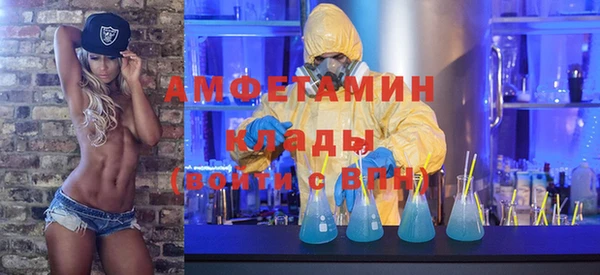 трава Гусиноозёрск