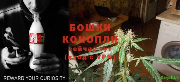 ешки Гусев
