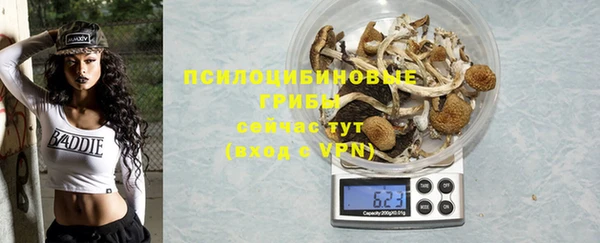дживик Гусь-Хрустальный