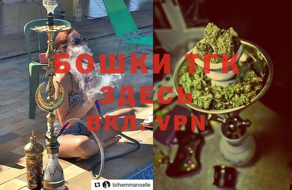 ешки Гусев