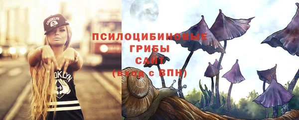 ешки Гусев